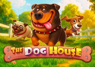 jackpotday88 The Dog House ทดลองเล่นฟรี